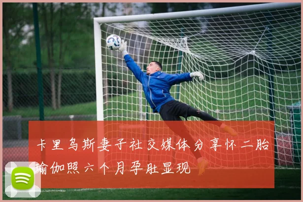卡里乌斯妻子社交媒体分享怀二胎瑜伽照六个月孕肚显现